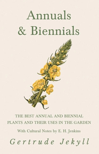 Annuals biennials the best - biennials,